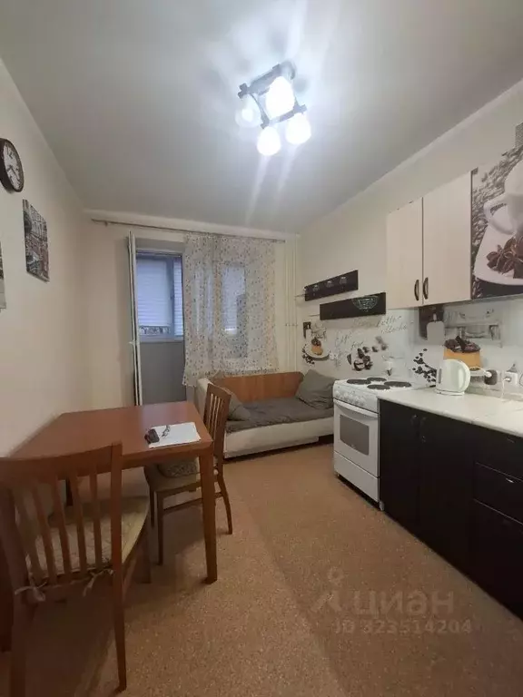 1-к кв. Московская область, Ногинск Богородский городской округ, ул. ... - Фото 2