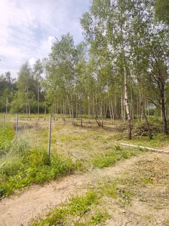 Участок в Московская область, Хотьково Сергиево-Посадский район, ул. ... - Фото 1