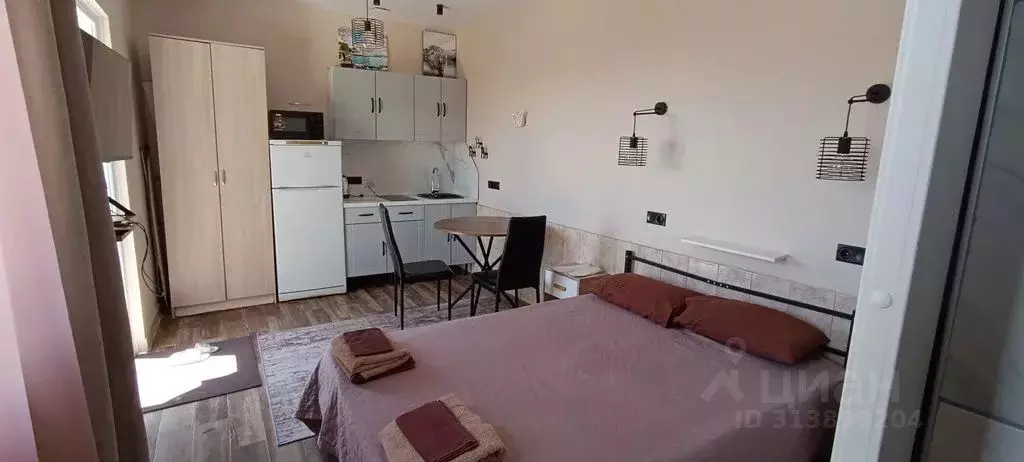 Студия Краснодарский край, Сочи Суздальская ул., 18А/1 (20.0 м) - Фото 1