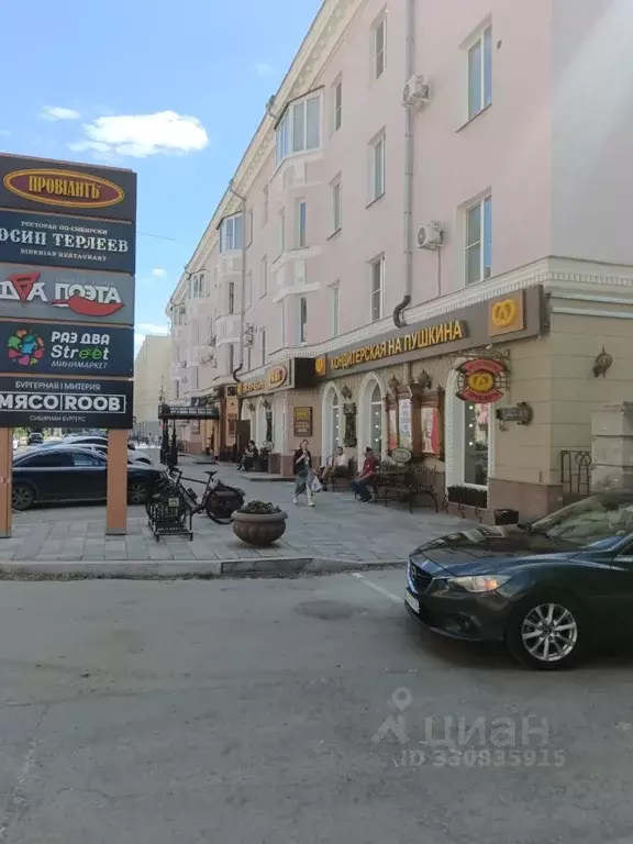 2-к кв. Омская область, Омск ул. Пушкина, 112 (56.0 м) - Фото 2