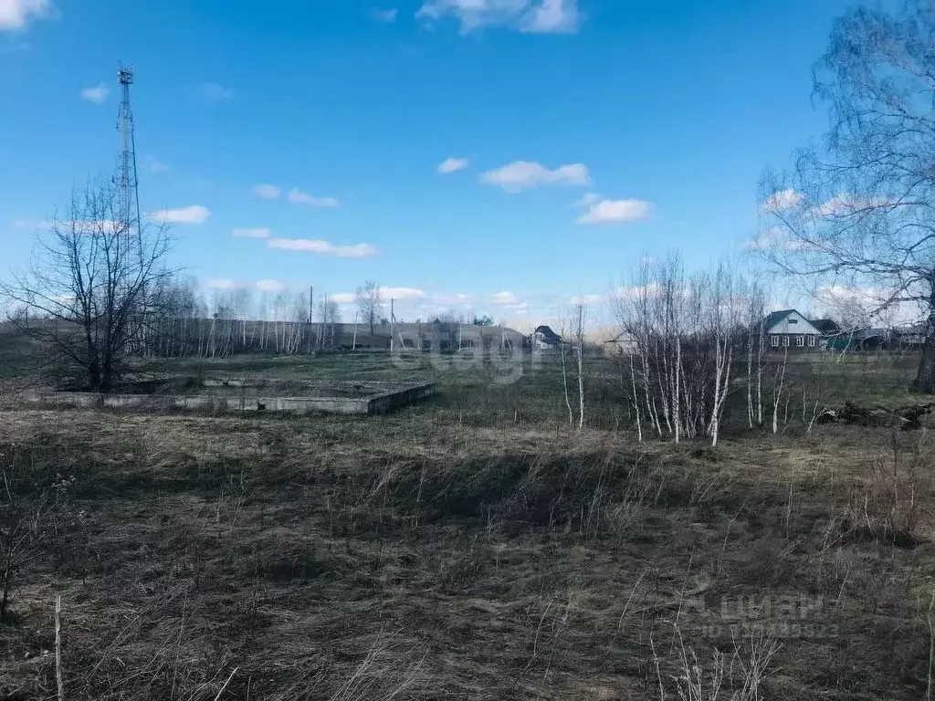 Участок в Алтайский край, Смоленский район, Верх-Обский сельсовет, ... - Фото 1