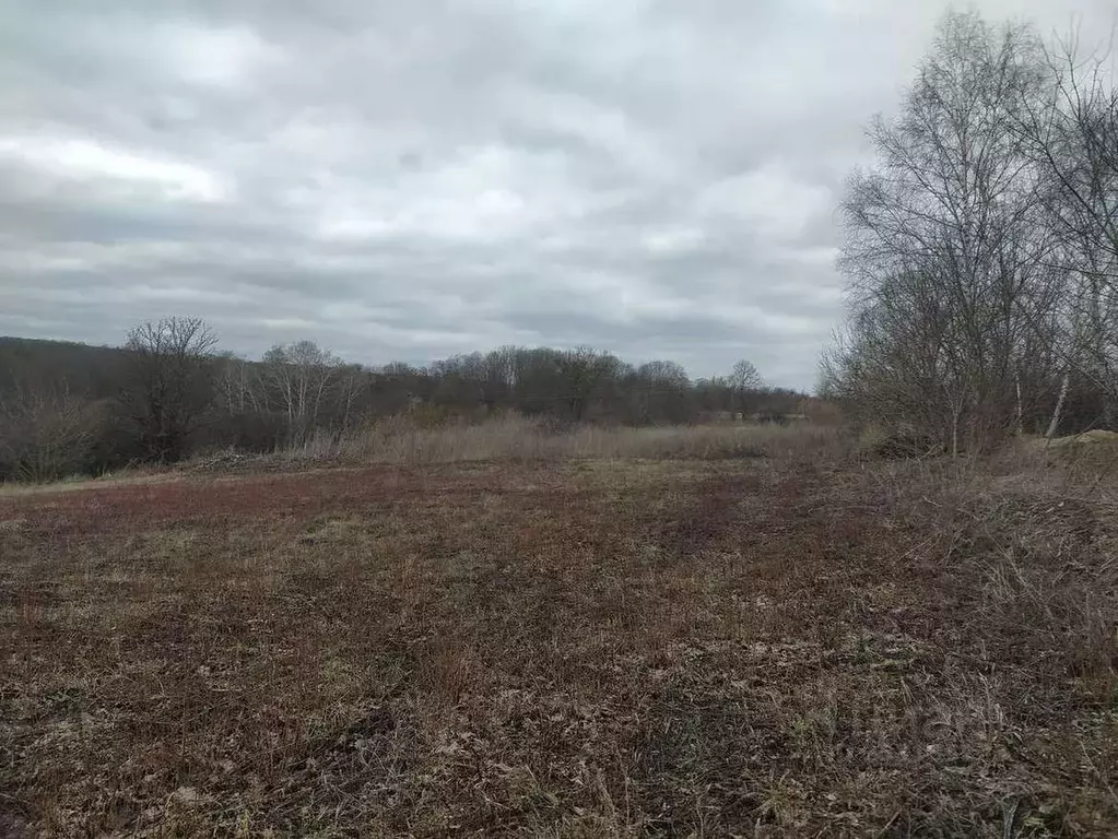 Участок в Белгородская область, Белгородский район, Головинское с/пос, ... - Фото 1