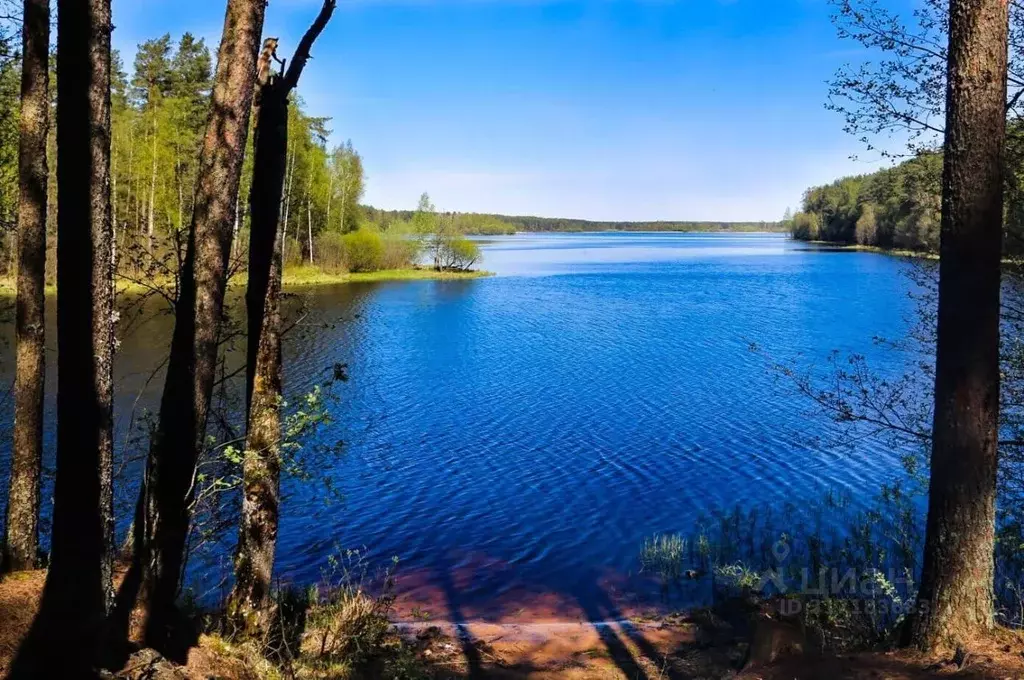 Участок в Ленинградская область, Выборгский район, Полянское с/пос, ... - Фото 0