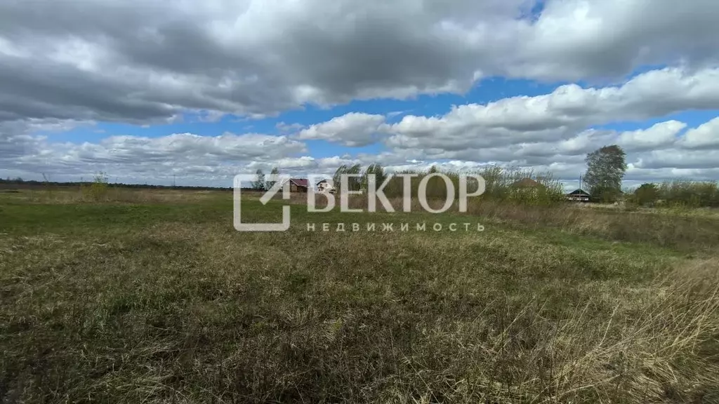 Участок в Костромская область, Костромской район, Шунгенское с/пос, с. ... - Фото 1