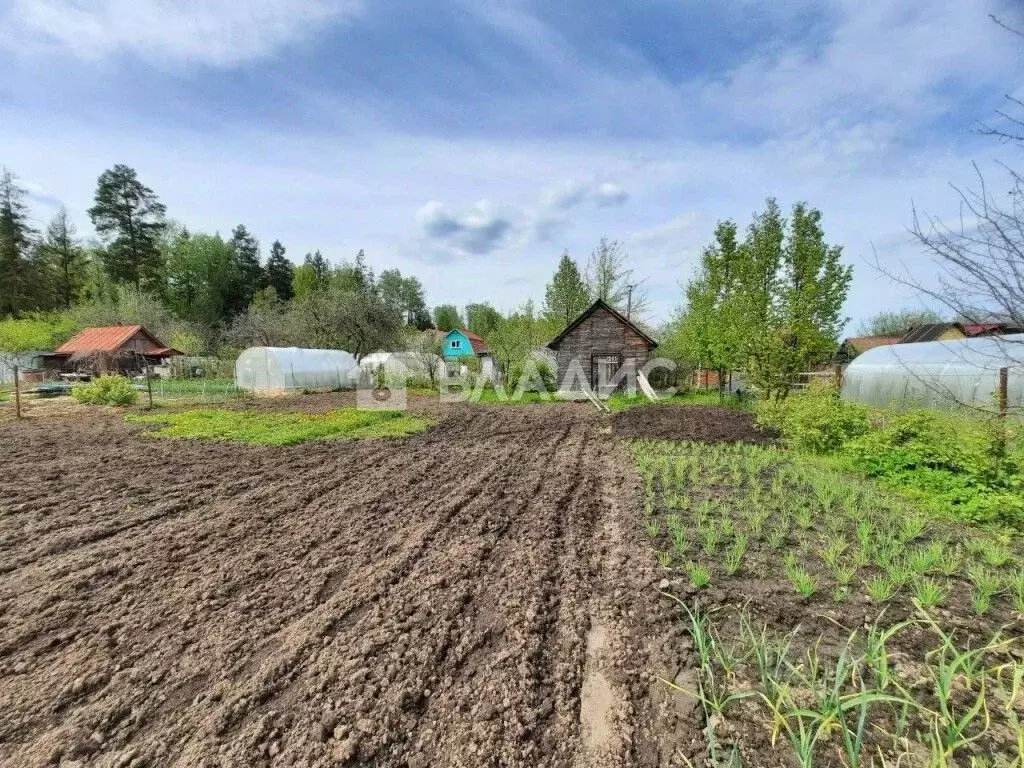 Участок в Владимирская область, Владимир Автомобилист СНТ, 284 (6.0 ... - Фото 0