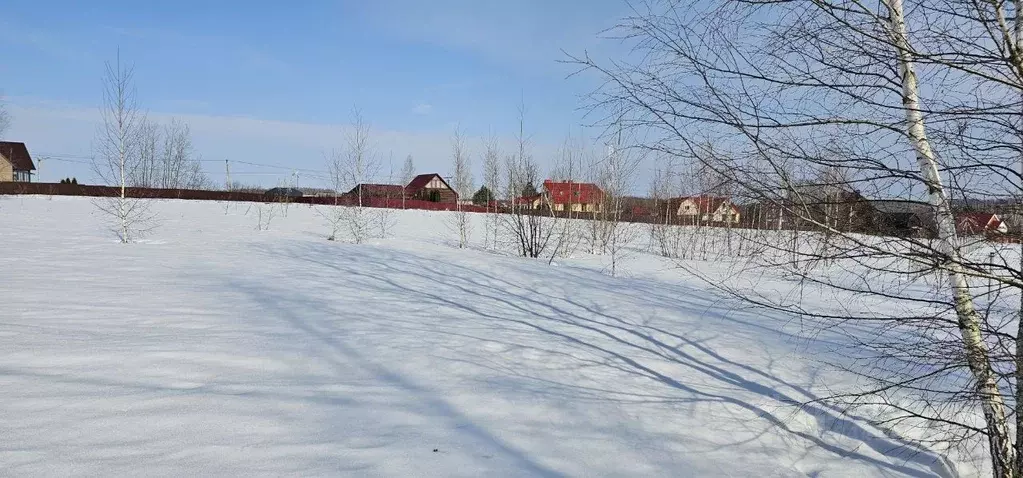 Участок в Московская область, Луховицы муниципальный округ, д. Берхино ... - Фото 1