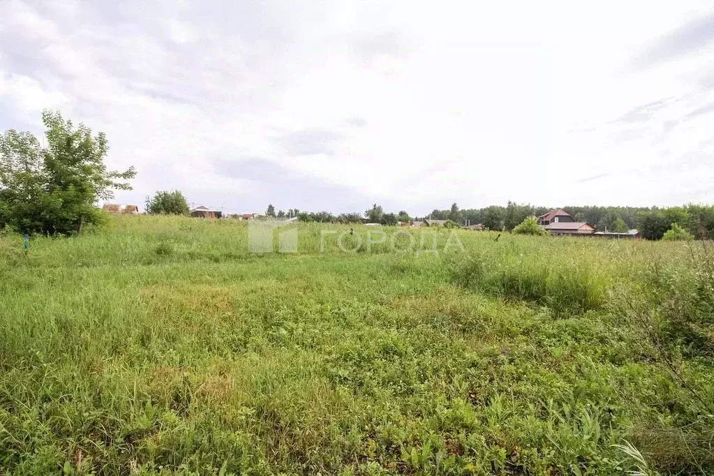 Участок в Алтайский край, Первомайский район, с. Санниково ... - Фото 1