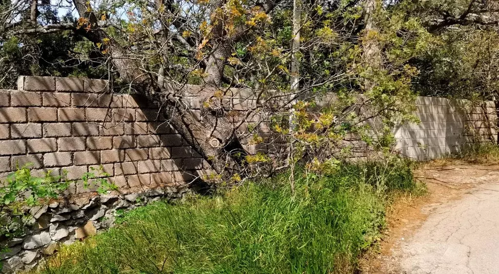 Участок в Крым, Ялта муниципальный округ, Симеиз пгт ул. Голубая, 7 ... - Фото 2