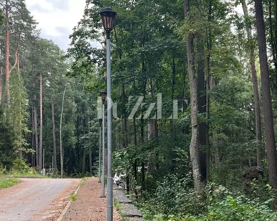 Участок в Санкт-Петербург, Санкт-Петербург, Зеленогорск Приморское ш., ... - Фото 1