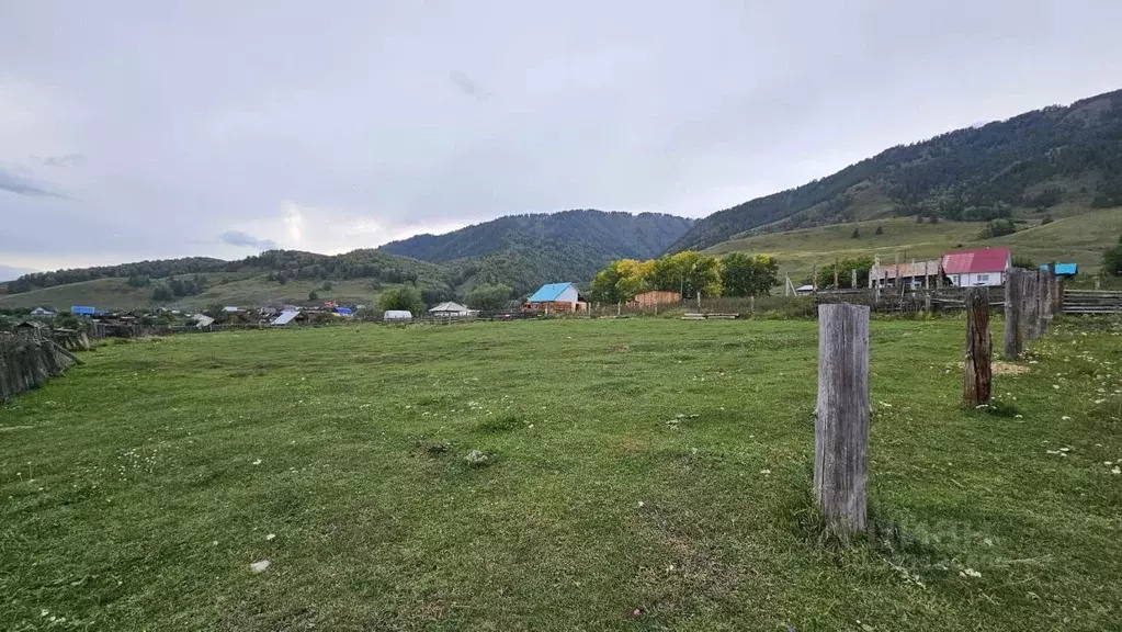 Участок в Алтай, Усть-Коксинский район, с. Баштала Садовая ул. (16.13 ... - Фото 1