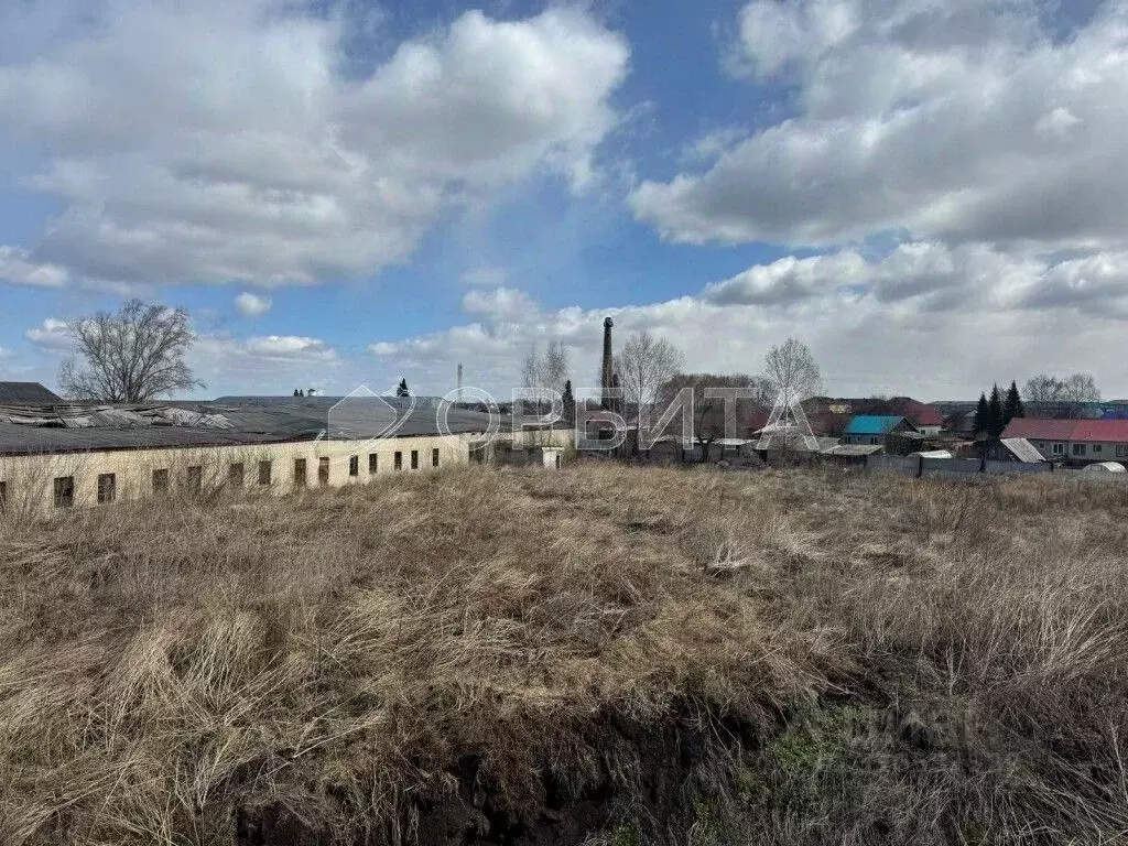 Участок в Тюменская область, Тюменский район, с. Червишево Советская ... - Фото 2