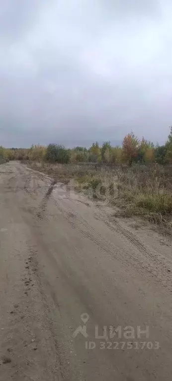 Участок в Брянская область, Брянск Фосфоритная ул. (1400.0 сот.) - Фото 1