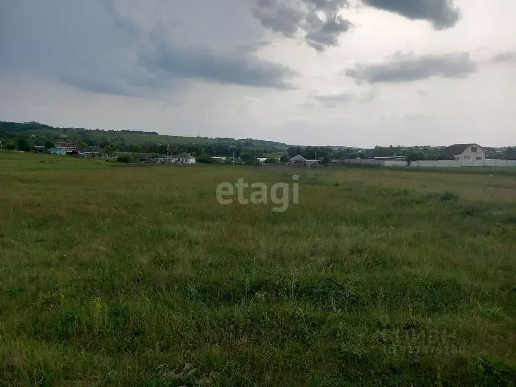 Участок в Белгородская область, Губкинский городской округ, с. Мелавое ... - Фото 0