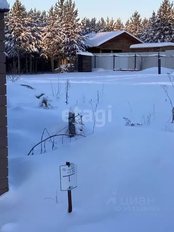 Участок в Свердловская область, Белоярский городской округ, пос. ... - Фото 1