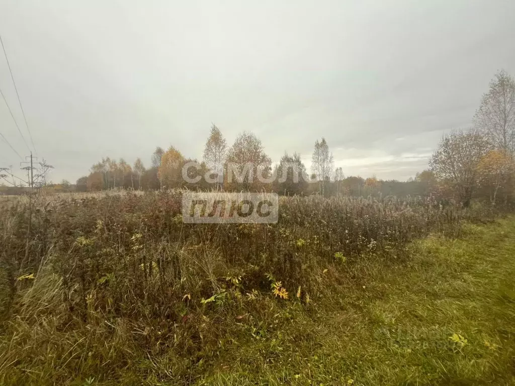 Участок в Ярославская область, Переславль-Залесский муниципальный ... - Фото 1