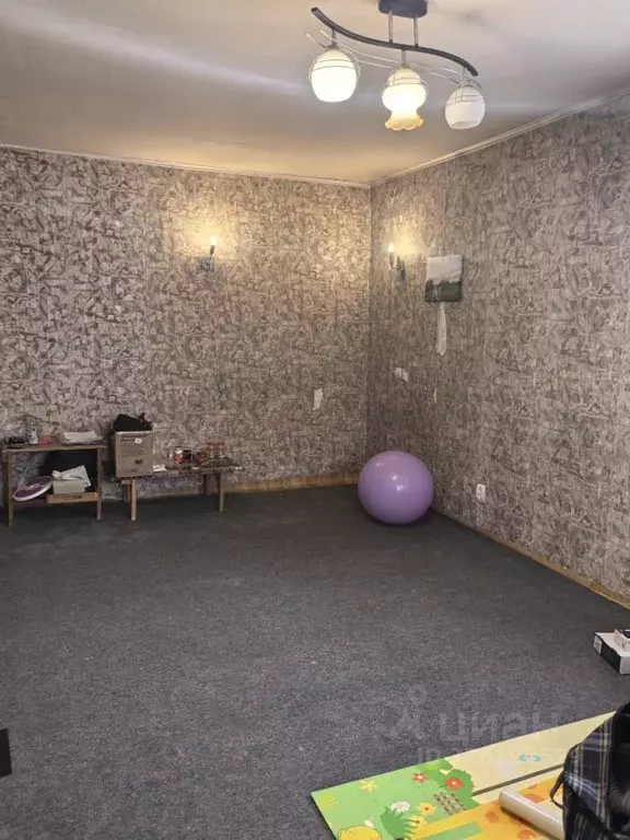 2-к кв. Красноярский край, Красноярск ул. Мичурина, 49 (44.0 м) - Фото 2