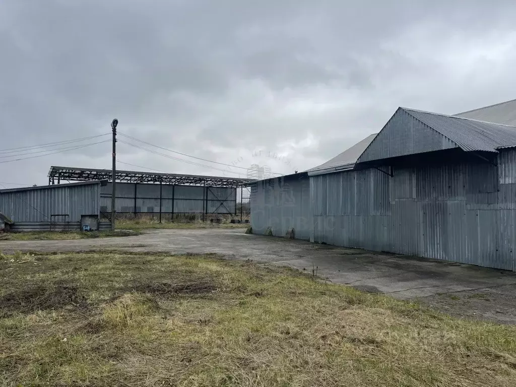 Производственное помещение в Тульская область, Дубенский район, ... - Фото 2
