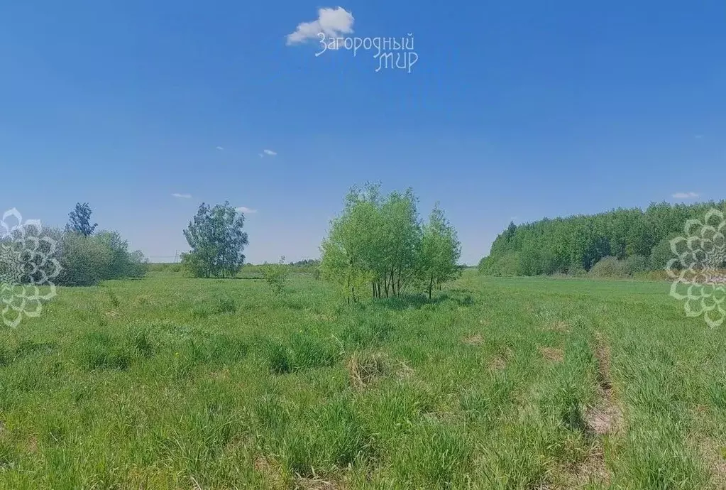 Участок в Московская область, Богородский городской округ, д. Старые ... - Фото 1