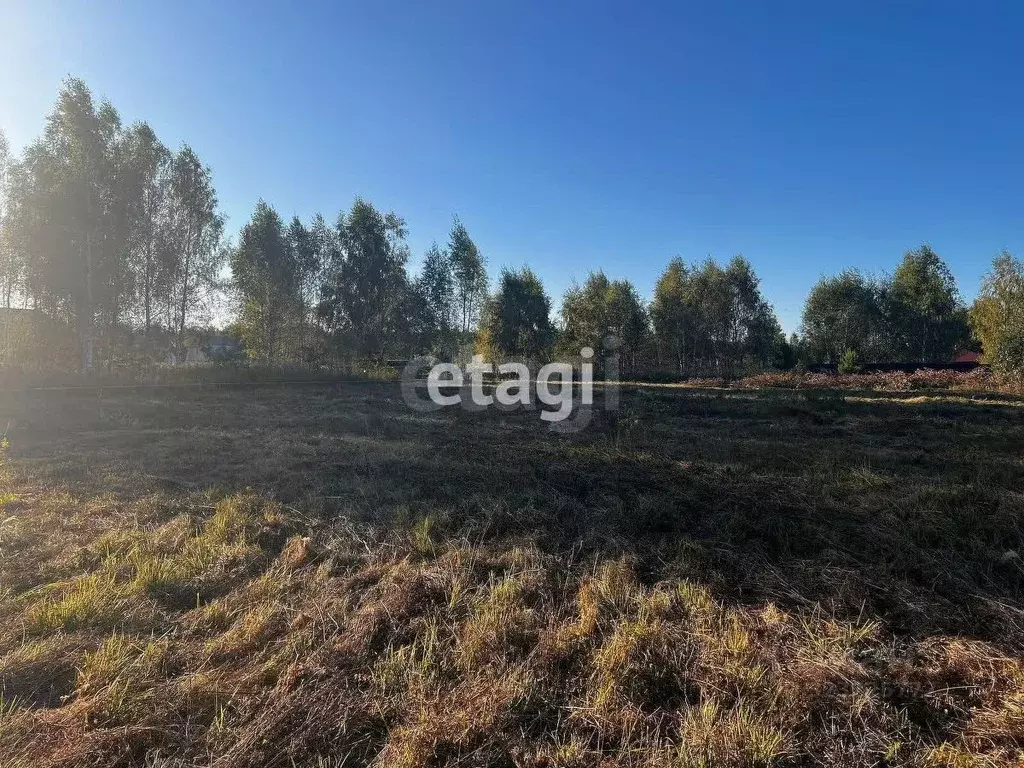 Участок в Владимирская область, Петушинский муниципальный округ, пос. ... - Фото 2