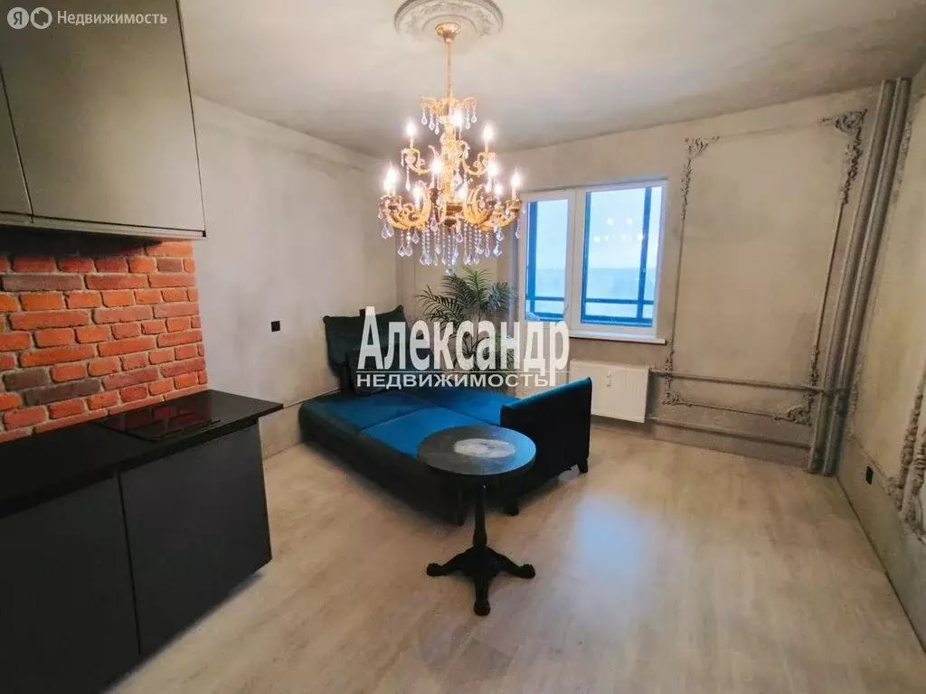 Квартира-студия: Мурино, Оборонная улица, 37к2 (24.1 м) - Фото 1