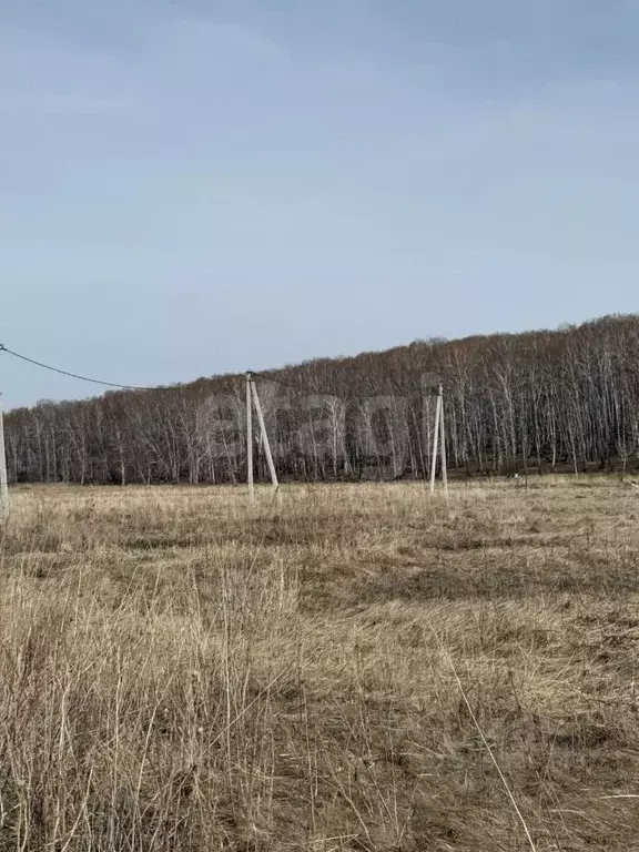 Участок в Курганская область, Курган Тополя мкр,  (7.9 сот.) - Фото 1