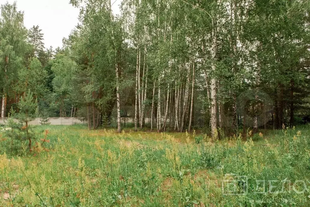 Участок 8 сот. (СНТ, ДНП) - Фото 1