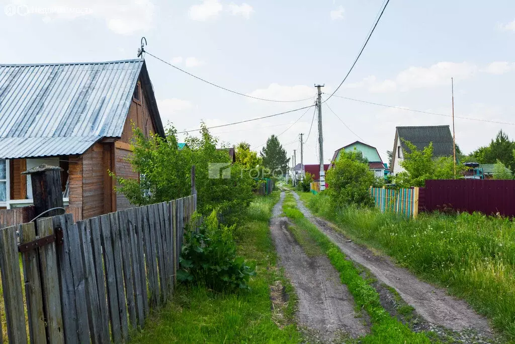 Участок в Толмачёвский сельсовет, садовое товарищество Мечта (6 м) - Фото 1