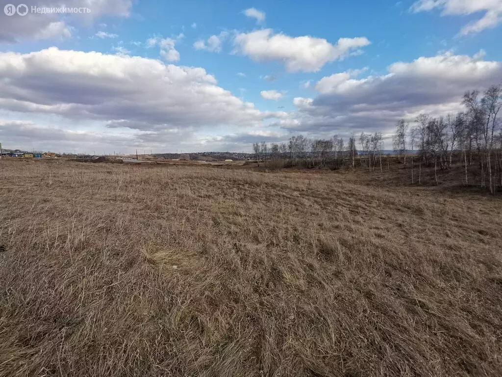 Участок в Емельяновский район, посёлок Солонцы (11 м) - Фото 0