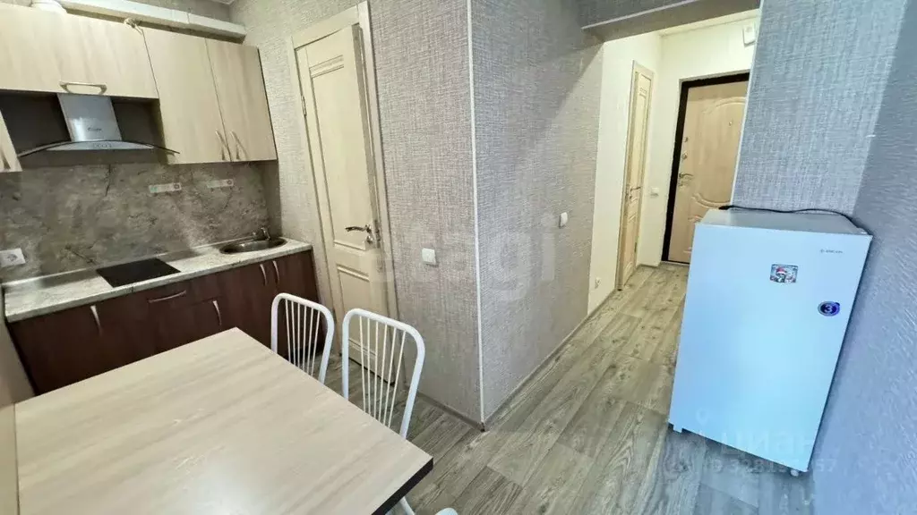 Студия Амурская область, Благовещенский район, с. Чигири ул. ... - Фото 1