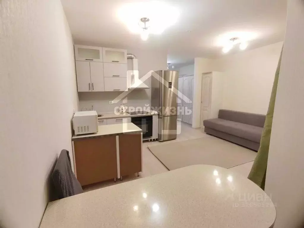 Студия Свердловская область, Екатеринбург ул. Металлургов, 63 (28.1 м) - Фото 1