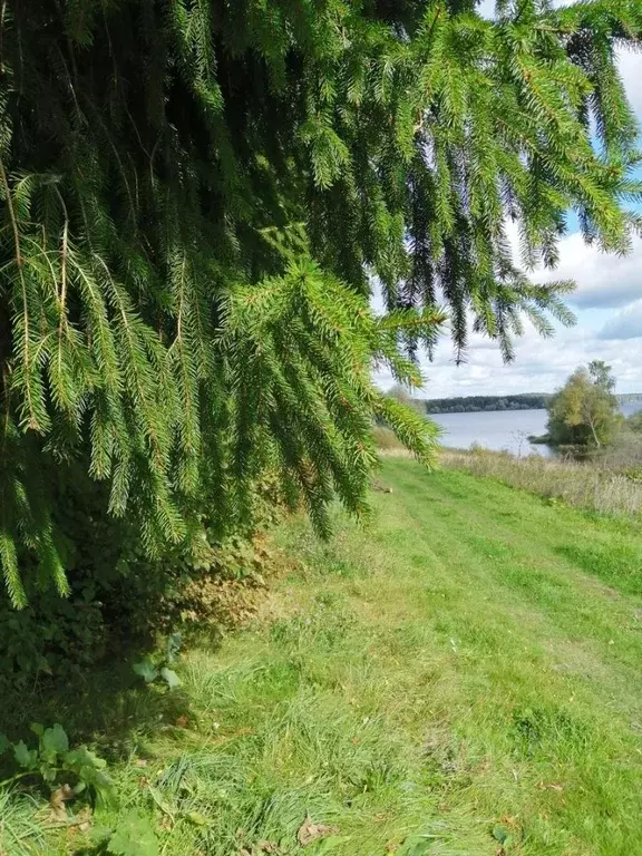 Участок в Московская область, Можайский муниципальный округ, д. Новая  ... - Фото 1