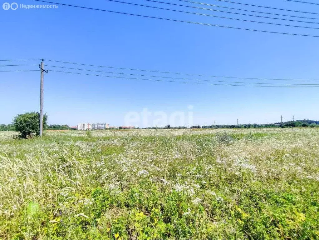 Участок в Нальчик, СТ Радуга (4.24 м) - Фото 2