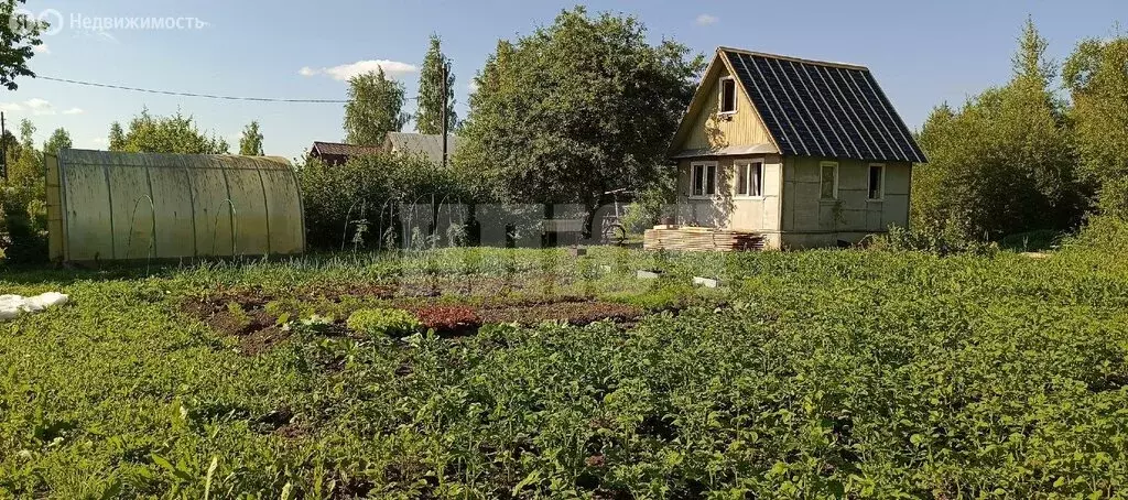 Дом в Сокол, СНТ Садовод-4 (24 м) - Фото 1