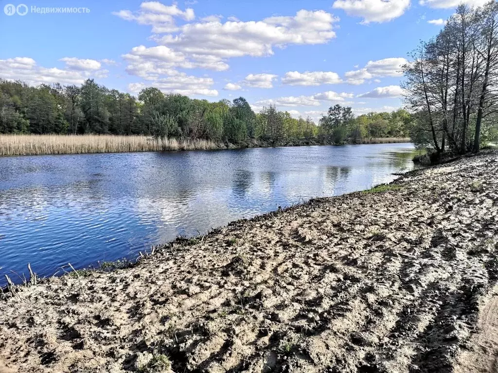 Участок в село Берёзово, Лесная улица, 27 (10 м) - Фото 0