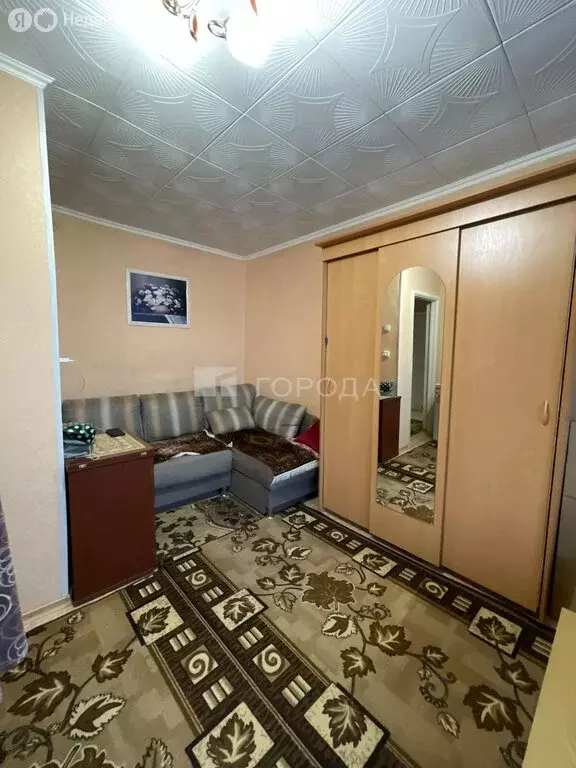 1-комнатная квартира: Барнаул, Малый Прудской переулок, 48А (23.8 м) - Фото 1