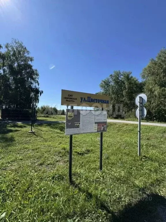 Участок в Новосибирская область, Новосибирский район, с. Боровое ул. ... - Фото 2