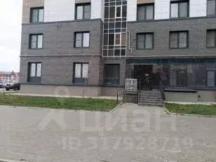 Помещение свободного назначения в Дагестан, Махачкала ул. ... - Фото 0