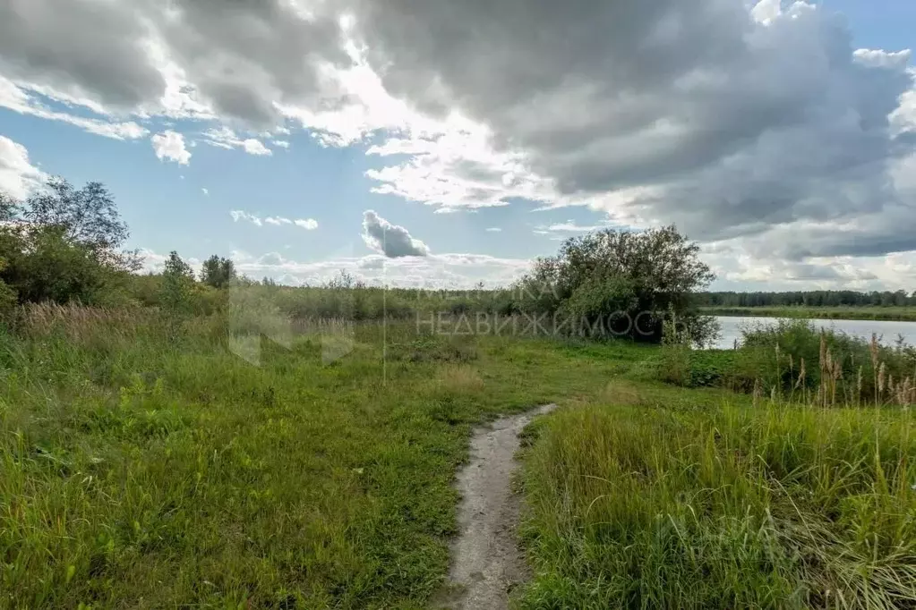 Участок в Свердловская область, Слободо-Туринский район, ... - Фото 1
