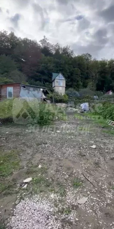 Участок в Краснодарский край, Сочи городской округ, с. Каштаны, ... - Фото 1
