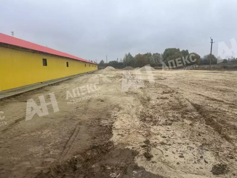 Склад в Московская область, Кашира городской округ, д. Руднево ул. ... - Фото 2
