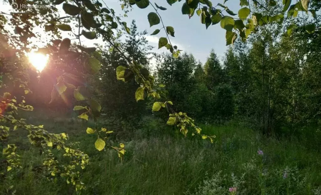 Участок в Свердловская область, Сысерть (8 м) - Фото 1