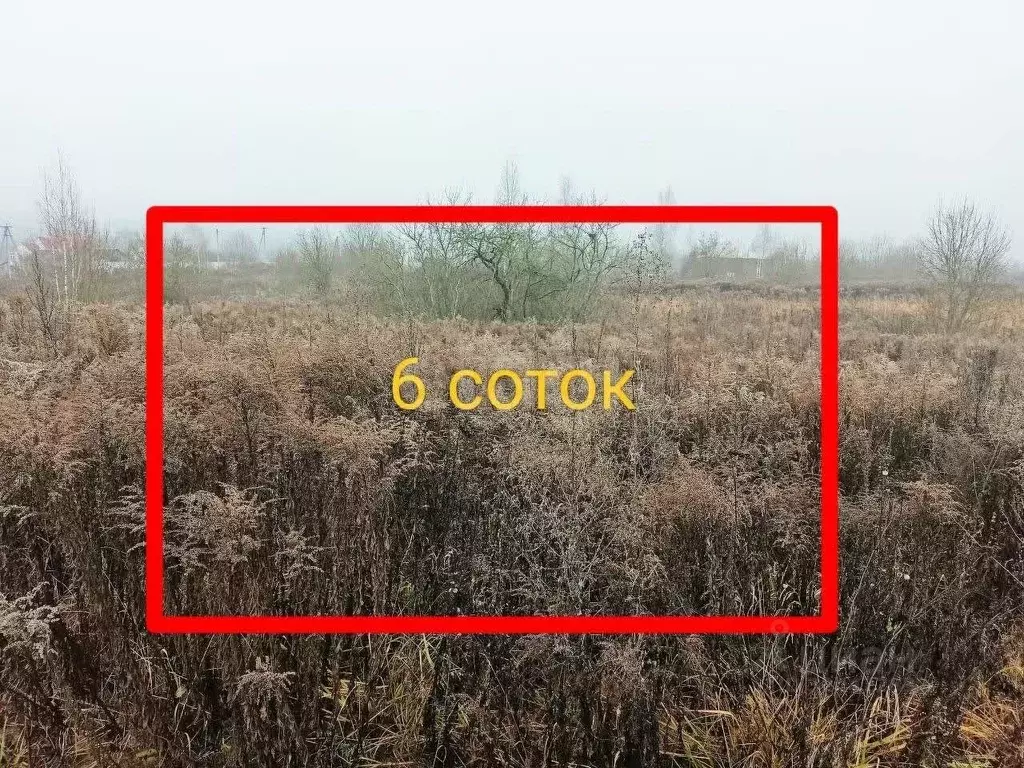 Участок в Брянская область, Брянский район, Добрунское с/пос, БЭМЗ СДТ ... - Фото 1