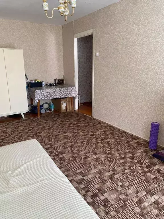 1-к кв. Башкортостан, Уфа ул. Пушкина, 56 (30.0 м) - Фото 1