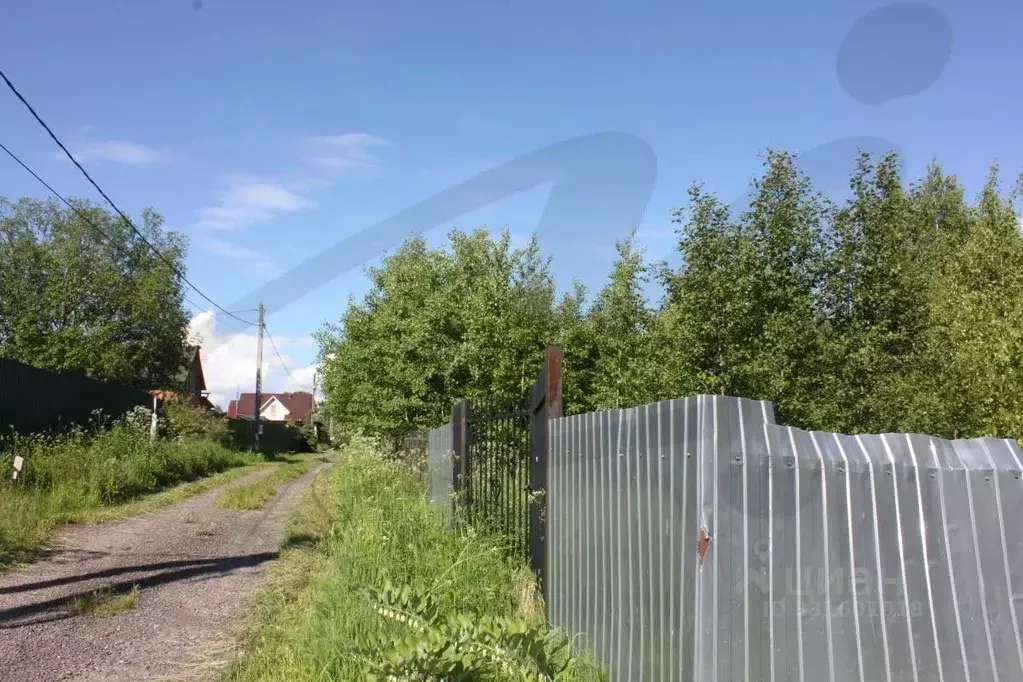 Участок в Московская область, Солнечногорск городской округ, Ветеран-2 ... - Фото 2