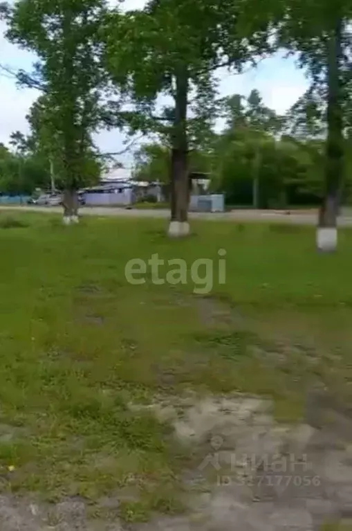 Дом в Амурская область, Бурейский муниципальный округ, с. Родионовка ... - Фото 0