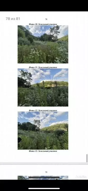 Торговая площадь в Краснодарский край, Сочи городской округ, с. ... - Фото 1