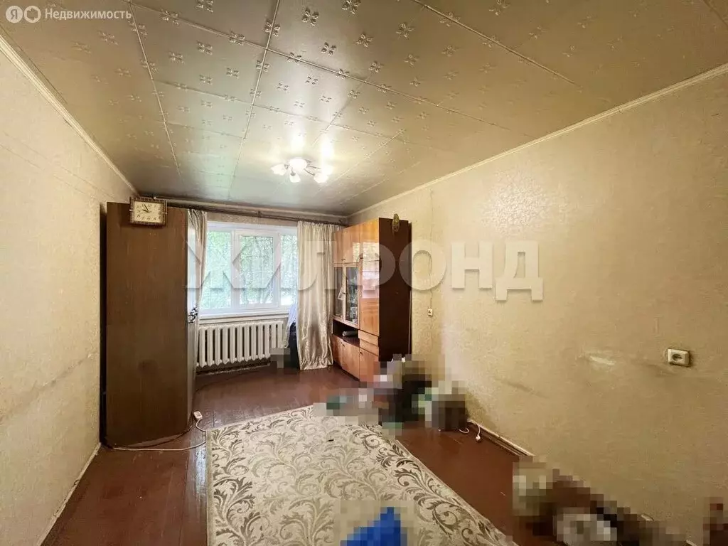 1-комнатная квартира: Новосибирск, улица Бориса Богаткова, 256 (30 м) - Фото 0