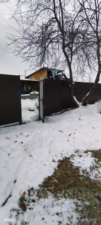 Дом в Новосибирская область, Новосибирский район, Кудряшовский ... - Фото 1