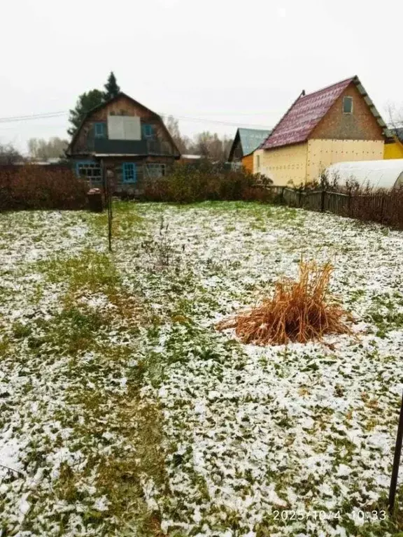 Участок в Новосибирская область, Новосибирск Золотая Горка СНТ, аллея ... - Фото 1