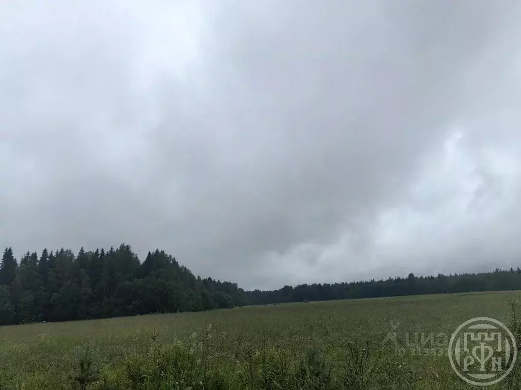 Участок в Псковская область, Куньинский район, Каськовская волость, д. ... - Фото 0
